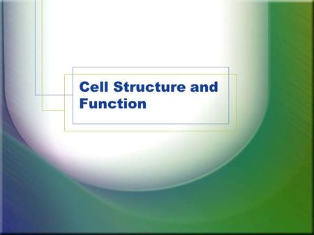 Cell Structure and Function. The “Discovery” of the Cell Robert Hooke – first to see and identify cork “cells.” 7-1.