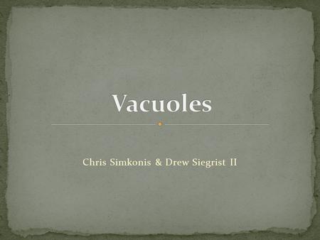 Chris Simkonis & Drew Siegrist II. Found in plant cells, very important to cell function. Used for storage and to maintain water balance Storage- stores.