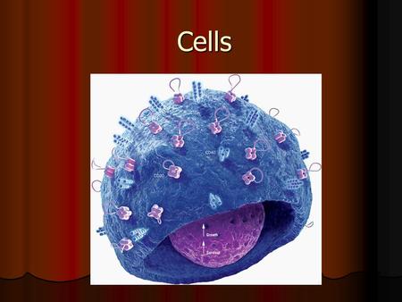 Cells. Introduction and History Robert Hooke coined the term CELLS Robert Hooke coined the term CELLS.