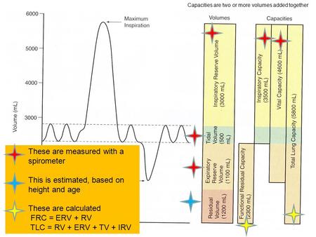 These are measured with a spirometer This is estimated, based on