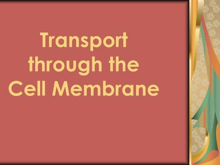 Transport through the Cell Membrane. The Cell Membrane is Semi-permeable SOME MOLECULES CAN GET THROUGH Very small or Non-charged (nonpolar)