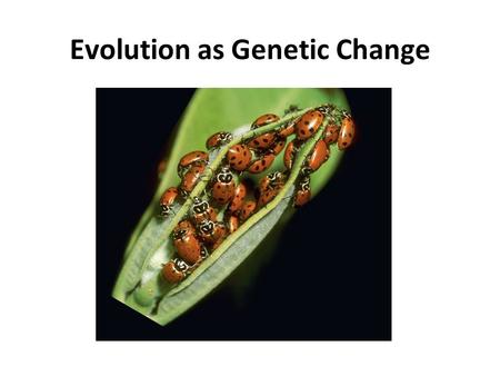 Evolution as Genetic Change Nazca Booby Clip Natural selection affects which individuals survive and reproduce and which do not. Evolution is any change.