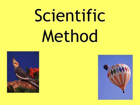 Scientific Method. Ask a question Ask a question.