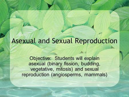 Asexual and Sexual Reproduction Objective: Students will explain asexual (binary fission, budding, vegetative, mitosis) and sexual reproduction (angiosperms,