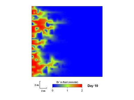 Initial chemical composition and temperature can vary across the domain. Click on a “+” button to enter heterogeneity data for any field variable: ● enter.