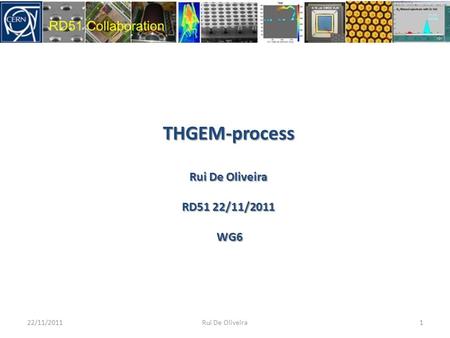 THGEM-process Rui De Oliveira RD51 22/11/2011 WG6 WG6 22/11/20111Rui De Oliveira.