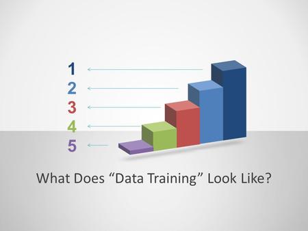 What Does “Data Training” Look Like?. What the Research Says Jimerson and Wayman (2011) – Little research about best ways to provide effective data-related.