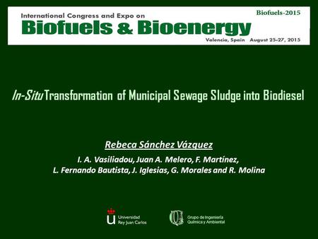 In-Situ Transformation of Municipal Sewage Sludge into Biodiesel Grupo de Ingeniería Química y Ambiental Rebeca Sánchez Vázquez I. A. Vasiliadou, Juan.