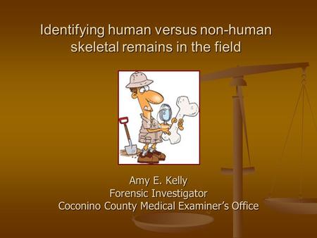 Identifying human versus non-human skeletal remains in the field Amy E. Kelly Forensic Investigator Coconino County Medical Examiner’s Office.