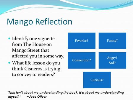 Mango Reflection Identify one vignette from The House on Mango Street that affected you in some way. What life lesson do you think Cisneros is trying to.