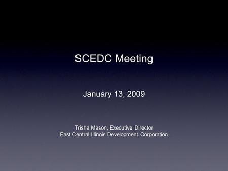 SCEDC Meeting January 13, 2009 Trisha Mason, Executive Director East Central Illinois Development Corporation.