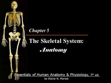 Essentials of Human Anatomy & Physiology, 7 th ed. by Elaine N. Marieb Chapter 5 The Skeletal System: Anatomy Chapter 5 The Skeletal System: Anatomy.