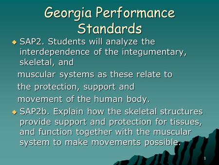 Georgia Performance Standards