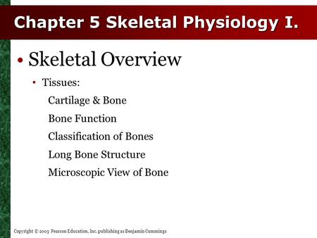 Copyright © 2003 Pearson Education, Inc. publishing as Benjamin Cummings Chapter 5 Skeletal Physiology I. Skeletal Overview Tissues: Cartilage & Bone Bone.