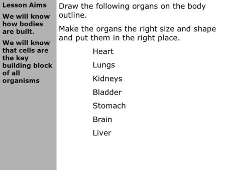 Lesson Aims We will know how bodies are built. We will know that cells are the key building block of all organisms Draw the following organs on the body.