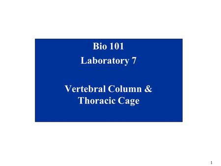 Bio 101 Laboratory 7 Vertebral Column & Thoracic Cage