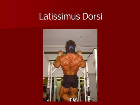 Latissimus Dorsi.