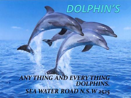 ANY THING AND EVERY THING DOLPHINS. SEA WATER ROAD N.S.W 2525.