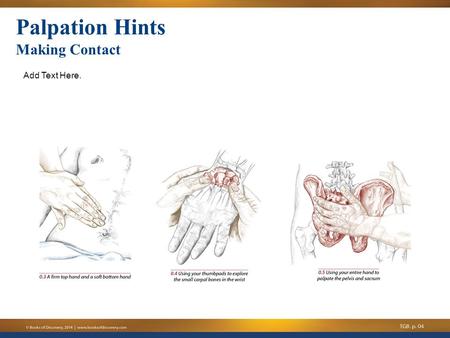 Palpation Hints Making Contact Add Text Here. Palpation Hints.