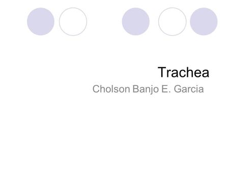 Trachea Cholson Banjo E. Garcia. Suspended from the cricoid cartilage by the CRICOTRACHEAL LIGAMENT Length: 10-13 cm From C6-C7 to T4-T5 Bifurcate at.