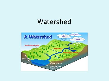 Watershed Two major factors define a watershed: Gravity and Topography