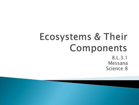 8.L.3.1 Messana Science 8.  Dynamic – change & vary over time  Biodiversity is looked at to indicate health  A complex, interactive system that includes: