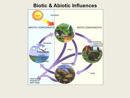 Biotic & Abiotic Influences. Ecosystem: all the living organisms that share a region & their physical & chemical environment.