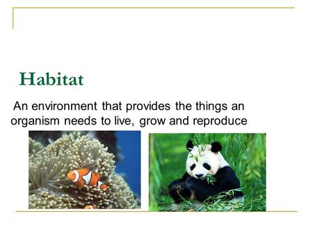 Habitat An environment that provides the things an organism needs to live, grow and reproduce.