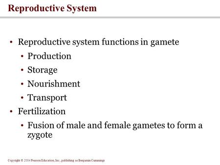 Copyright © 2004 Pearson Education, Inc., publishing as Benjamin Cummings Reproductive System Reproductive system functions in gamete Production Storage.