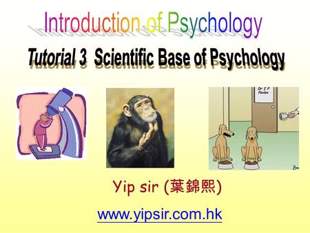 Www.yipsir.com.hk Yip sir ( 葉錦熙 ). Scientific Base of Psychology 1. 財多身子弱 2. 十個光頭九個富 3. 頭尖額窄、無離貴格 4. 鼻窿大、性無能 5. 矮仔多偈 6. 屯門多色魔 Are they scientific? How.