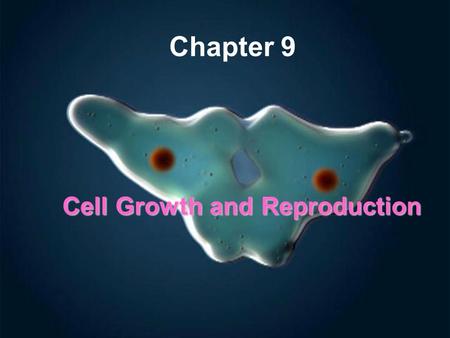 Cell Growth and Reproduction Chapter 9. Chapter Objective Describe the processes of cell growth and cell reproduction (SPI 3210.1.6.)