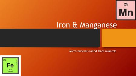 Iron & Manganese Micro-minerals called Trace minerals.