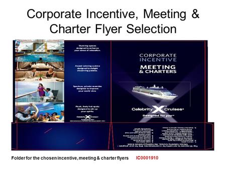 Corporate Incentive, Meeting & Charter Flyer Selection