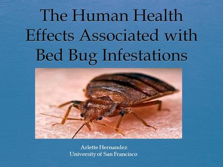 The Human Health Effects Associated with Bed Bug Infestations