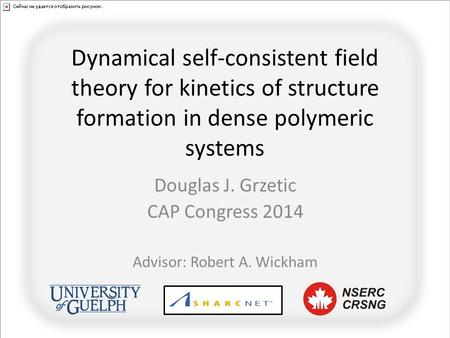 Dynamical self-consistent field theory for kinetics of structure formation in dense polymeric systems Douglas J. Grzetic CAP Congress 2014 Advisor: Robert.