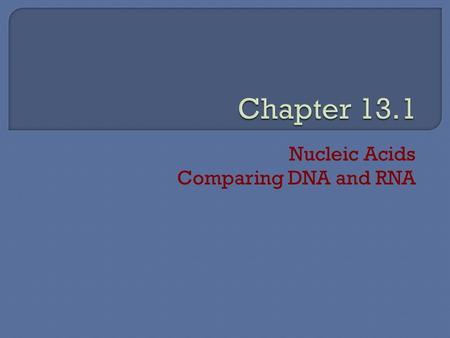 Nucleic Acids Comparing DNA and RNA. Both are made of nucleotides that contain  5-carbon sugar,  a phosphate group,  nitrogenous base.