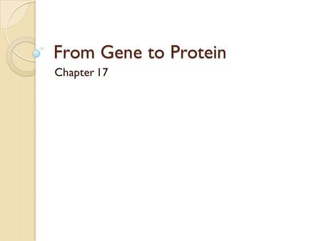 From Gene to Protein Chapter 17. One Gene One Enzyme.