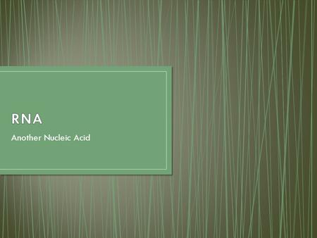 RNA Another Nucleic Acid.