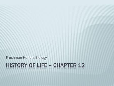 Freshman Honors Biology.  Studied by paleontologists  Remains of past dead organisms  Forms in sedimentary rock  Include  Eggs  Whole skeletons.