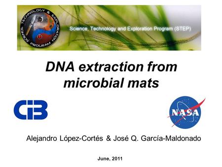 DNA extraction from microbial mats Alejandro López-Cortés & José Q. García-Maldonado June, 2011.