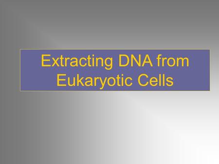 Extracting DNA from Eukaryotic Cells