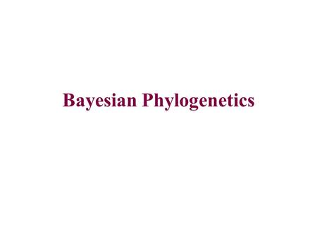 Bayesian Phylogenetics. Bayes Theorem Pr(Tree|Data) = Pr(Data|Tree) x Pr(Tree) Pr(Data)