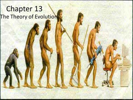 The Theory of Evolution