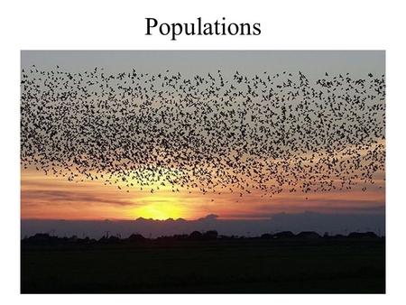 Populations. Skylark Metapopulations A metapopulation is a series of small, separate populations united together by dispersal.