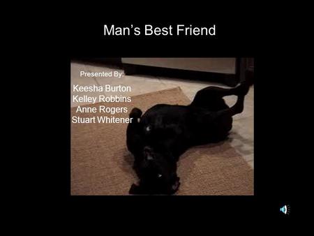 Man’s Best Friend Presented By: Keesha Burton Kelley Robbins Anne Rogers Stuart Whitener.