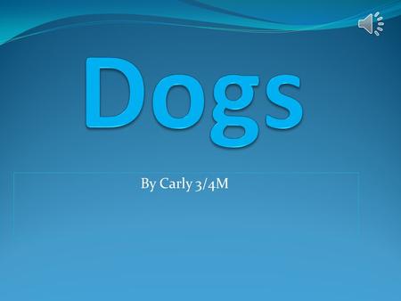 By Carly 3/4M Dogs come in all different sized groups. Some small enough to fit into a lady’s handbag and some as big as a small horse.