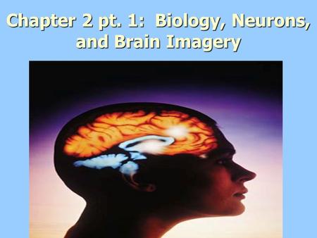 Chapter 2 pt. 1: Biology, Neurons, and Brain Imagery.