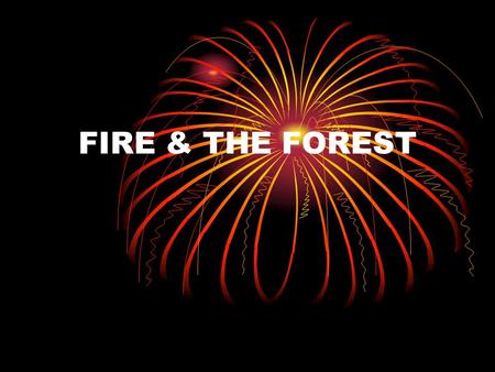 FIRE & THE FOREST. TERMS Wildfire-the uncontrolled burning of fire Incendiary-the unlawful & intentional setting of fire Debris burning-burning of trash.