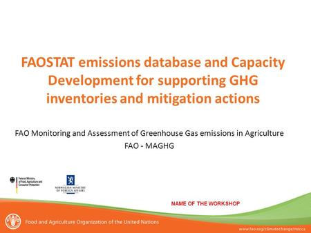 FAOSTAT emissions database and Capacity Development for supporting GHG inventories and mitigation actions NAME OF THE WORKSHOP FAO Monitoring and Assessment.