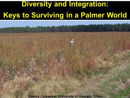 Diversity and Integration: Keys to Surviving in a Palmer World Stanley Culpepper, University of Georgia, Tifton.